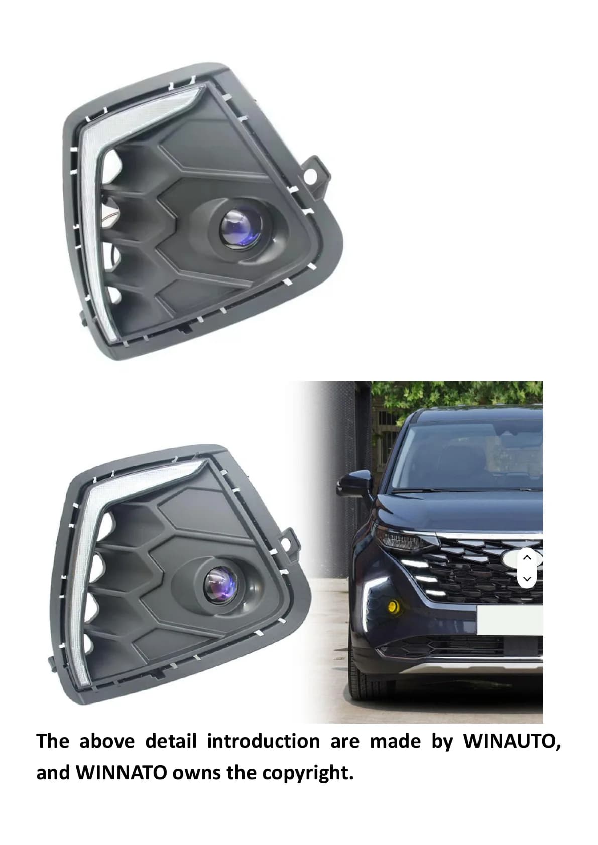 Completed WINAUTO vehicle-specific lighting assembly ready for project review